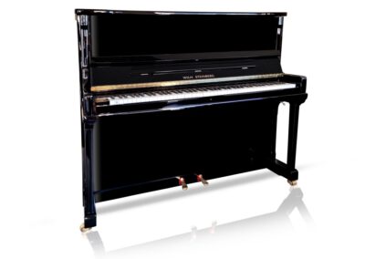 Klavier Wilh. Steinberg IQ28 Piano Galerie Dresden