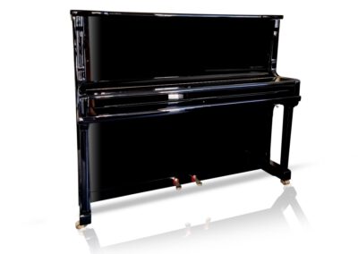 Klavier Wilh. Steinberg IQ28 2 Piano Galerie Dresden