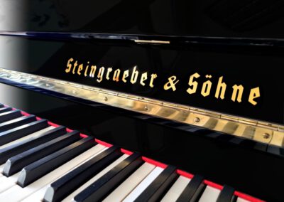 Steingräber & Söhne Modell 124 11 Piano Galerie Dresden