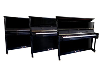 Steingräber & Söhne Modell 124 15 Piano Galerie Dresden