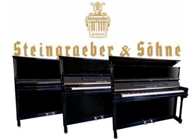 Steingräber & Söhne Modell 124 16 Piano Galerie Dresden